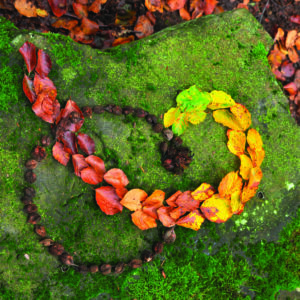 8/07 : Ateliers artistiques Landart
