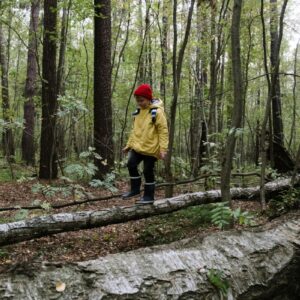 21/07 - RANDONNÉE DANS LE PARC NATIONAL - 6/10ans
