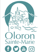 logo ville + réseaux